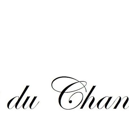 Logis Du Chandelier Le Puy-en-Velay Екстериор снимка