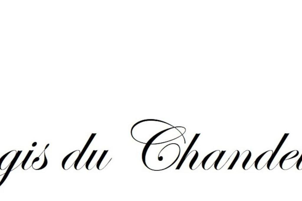 Logis Du Chandelier Le Puy-en-Velay Екстериор снимка